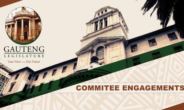 Committee engagements