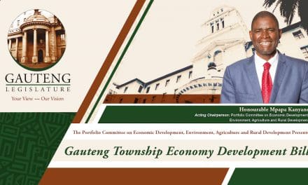 PUBLIC HEARINGS: GAUTENG TOWNSHIP ECONOMY DEVELOPMENT BILL