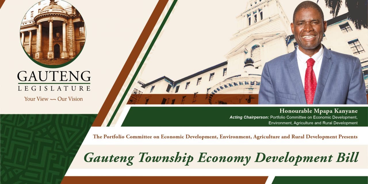 GAUTENG TOWNSHIP ECONOMY DEVELOPMENT BILL