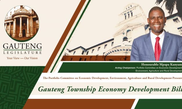 GAUTENG TOWNSHIP ECONOMY DEVELOPMENT BILL