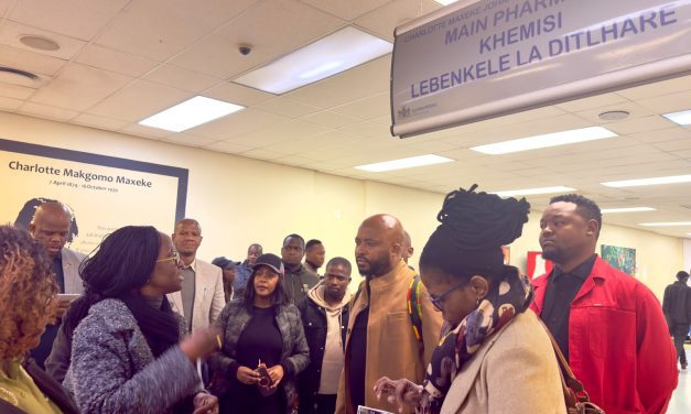 HEALTH AND WELLNESS PORTFOLIO COMMITTEE INTENSIFIES OVERSIGHT AT CHARLOTTE MAXEKE JOHANNESBURG ACADEMIC HOSPITAL